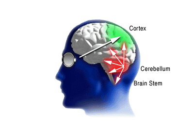 Sensory path to neocortex