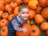 Little Yousuf and the pumpkins