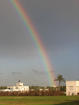 Beautiful Rainbow over Gaza