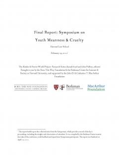 Final Report: Symposium on Youth Meanness & Cruelty