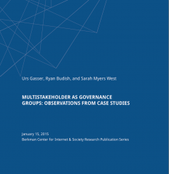 Multistakeholder as Governance Groups: Observations from Case Studies