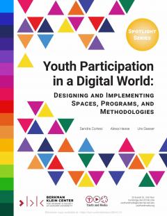 Youth Participation in a Digital World