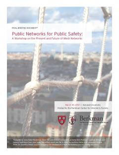 Briefing Document: Public Networks for Public Safety