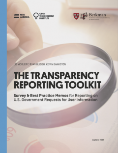 The Transparency Reporting Toolkit: