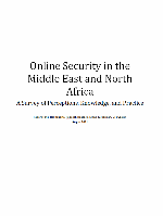 Online Security in the Middle East and North Africa