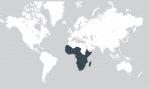 The OpenNet Initiative reports on Internet filtering in Sub-Saharan Africa